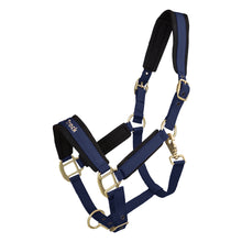 Load image into Gallery viewer, Back on Track Werano Halter
