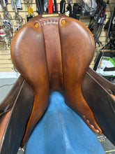 Load image into Gallery viewer, Bruno Delagrande 16.5” Partition-Evolution Equestrian Co.-Evolution Equestrian Co.