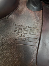 Load image into Gallery viewer, Bruno Delagrande 16.5” Partition-Evolution Equestrian Co.-Evolution Equestrian Co.