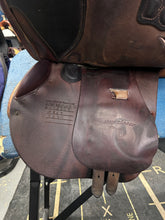 Load image into Gallery viewer, Bruno Delagrande 16.5” Partition-Evolution Equestrian Co.-Evolution Equestrian Co.