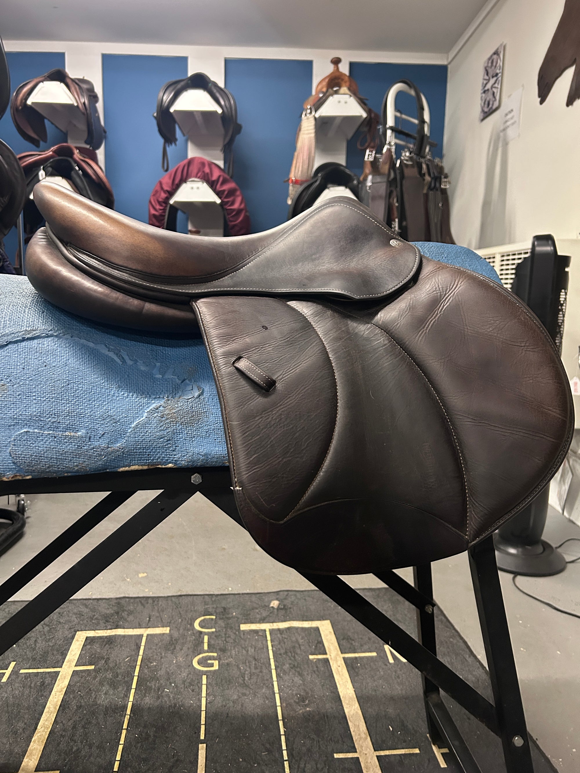 16.5" Voltaire Palm Beach-Saddle-Consignment-Evolution Equestrian Co.