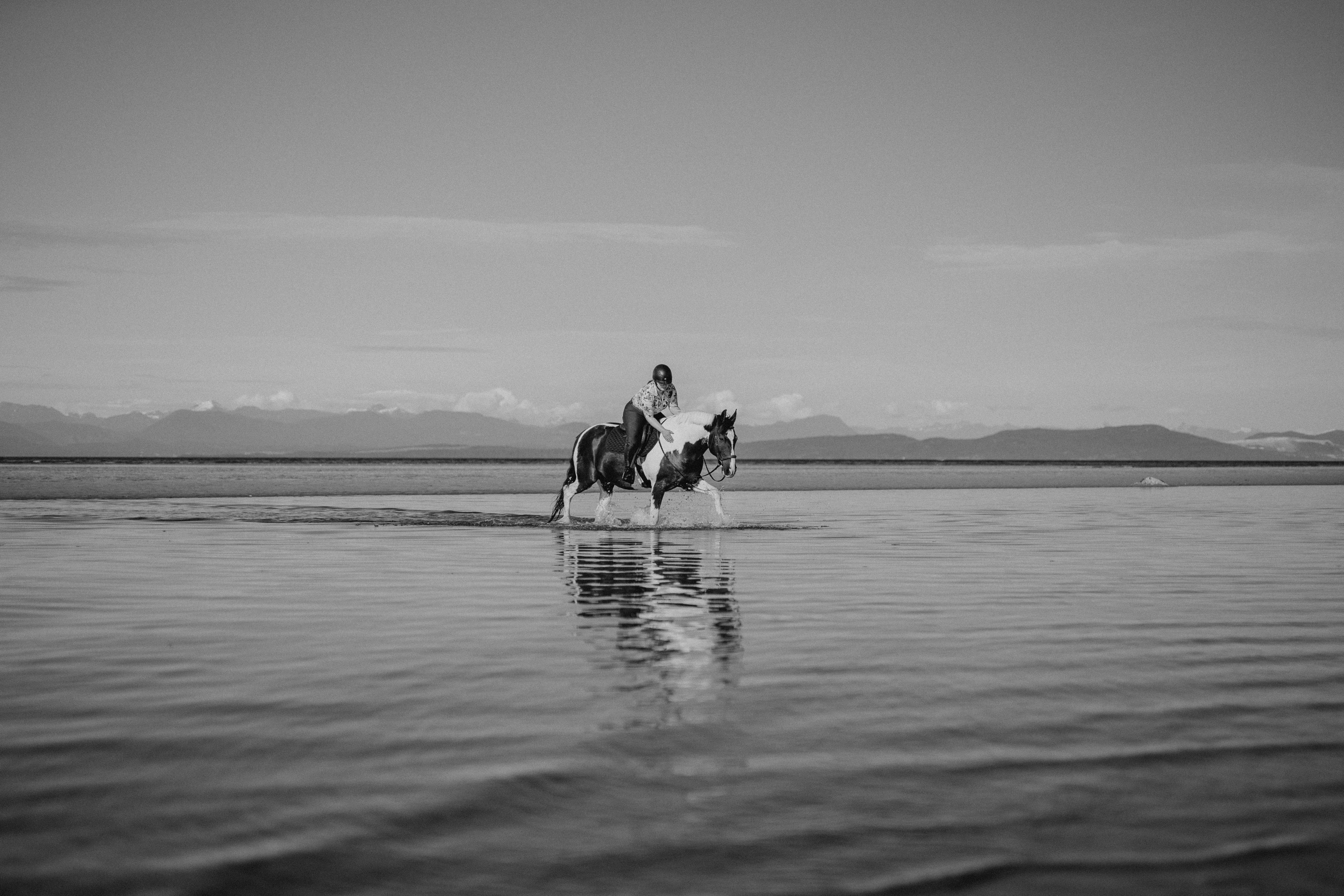 Evolution Equestrian Co.