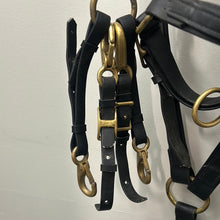 Load image into Gallery viewer, Biothane Halter Bridle and Breastplate
