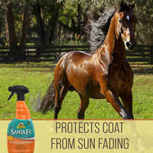 Load image into Gallery viewer, Absorbine Santa Fe Coat Conditioner-Horse Grooming-Canadian Centurion Supply-Evolution Equestrian Co.