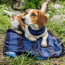 Load image into Gallery viewer, Back on Track Cool on Track Towel-Dog Products-Back on Track-53 cm x 76 cm-Evolution Equestrian Co.