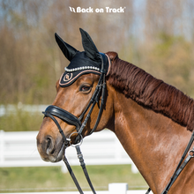 Load image into Gallery viewer, Back on Track Haze Collection Ear Nets-English Accessories-Back on Track-Grey with Black-Horse-Evolution Equestrian Co.