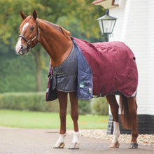 Load image into Gallery viewer, Back on Track Rhyolite Blanket Liner-Horse Blanket-Back on Track-72" / 135-100g-Evolution Equestrian Co.