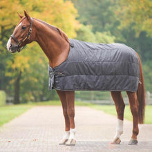 Load image into Gallery viewer, Back on Track Rhyolite Blanket Liner-Horse Blanket-Back on Track-72" / 135-100g-Evolution Equestrian Co.