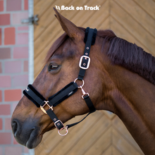 Load image into Gallery viewer, Back on Track Rose Gold Haze Collection Halter

