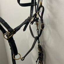 Load image into Gallery viewer, Biothane Halter Bridle and Breastplate
