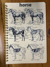 Load image into Gallery viewer, Equestrian Note Books-Notebooks-Evolution Equestrian Co.-Latin Anatomy-Evolution Equestrian Co.