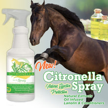 Load image into Gallery viewer, Healthy HairCare Citronella Refill Gallon-Horse Care-Can Pro Equestrian Supply-Evolution Equestrian Co.