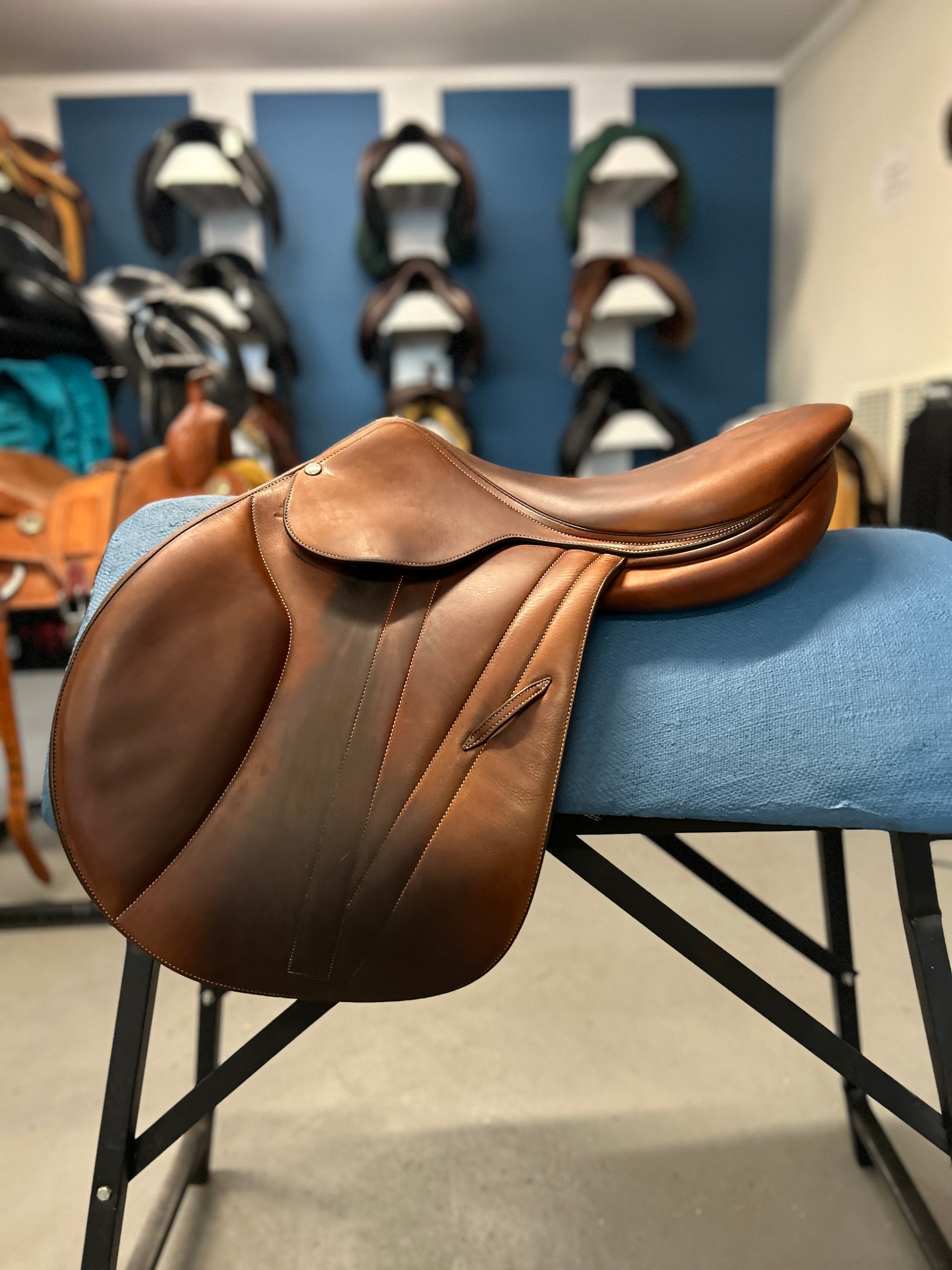 Evolution Equestrian Co.
