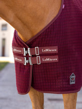 Load image into Gallery viewer, LeMieux Arika Clima-Tek Rug-Horse Blanket-LeMieux-Burgundy-66"-Evolution Equestrian Co.