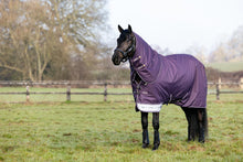 Load image into Gallery viewer, LeMieux Arika Ripstop Turnout Sheet 0g Juniper-Horse Blanket-LeMieux-69" / 5'9"-Evolution Equestrian Co.