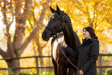 Load image into Gallery viewer, LeMieux Essence Halter Black-Halter-LeMieux-Pony-Evolution Equestrian Co.