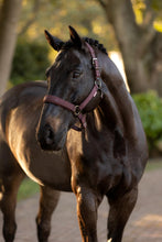 Load image into Gallery viewer, LeMieux Essence Halter Damson-Halter-LeMieux-Pony-Evolution Equestrian Co.