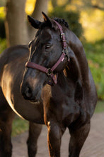 Load image into Gallery viewer, LeMieux Essence Halter Damson-Halter-LeMieux-Pony-Evolution Equestrian Co.