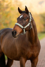 Load image into Gallery viewer, LeMieux Essence Halter Rosemary-Halter-LeMieux-Pony-Evolution Equestrian Co.