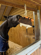 Load image into Gallery viewer, LeMieux Horse Toy Hedgehog-Horse Toy-LeMieux-Evolution Equestrian Co.