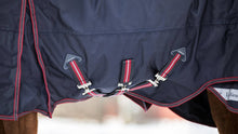 Load image into Gallery viewer, LeMieux Kudos Turnout Rug 50g-Horse Blanket-LeMieux-69" / 5'9"-Evolution Equestrian Co.