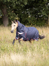 Load image into Gallery viewer, LeMieux Kudos Turnout Rug 50g-Horse Blanket-LeMieux-69" / 5'9"-Evolution Equestrian Co.