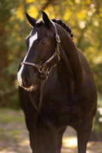 Load image into Gallery viewer, LeMieux Ropella Halter Lilac-Halter-LeMieux-Cob-Evolution Equestrian Co.