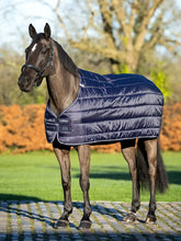 Load image into Gallery viewer, LeMieux Rug Liner 50g-Horse Blanket-LeMieux-6'6" | 78"-Evolution Equestrian Co.