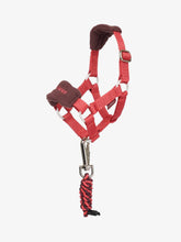 Load image into Gallery viewer, LeMieux Toy Pony Vogue Halter Cranberry-Toys-LeMieux-Evolution Equestrian Co.