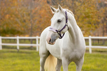 Load image into Gallery viewer, LeMieux Vogue Halter with Leadrope Juniper-Halter-LeMieux-Pony-Evolution Equestrian Co.