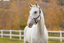 Load image into Gallery viewer, LeMieux Vogue Halter with Leadrope Juniper-Halter-LeMieux-Pony-Evolution Equestrian Co.