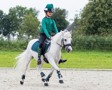 Load image into Gallery viewer, QHP Christmas Boot Socks – Elf/Rudolph 2-Pack-Socks-Can Pro Equestrian Supply-EU 35-38-Evolution Equestrian Co.