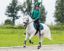 Load image into Gallery viewer, QHP Christmas Crown Piece Accessory-Christmas-Can Pro Equestrian Supply-Elf-Evolution Equestrian Co.