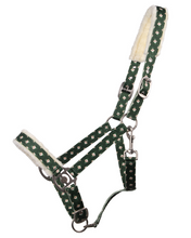 Load image into Gallery viewer, QHP Christmas Elf Halter-Halter-Can Pro Equestrian Supply-Shetland-Evolution Equestrian Co.