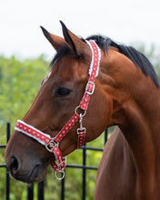 Load image into Gallery viewer, QHP Christmas Rudolph Halter-Halter-Can Pro Equestrian Supply-Cob-Evolution Equestrian Co.