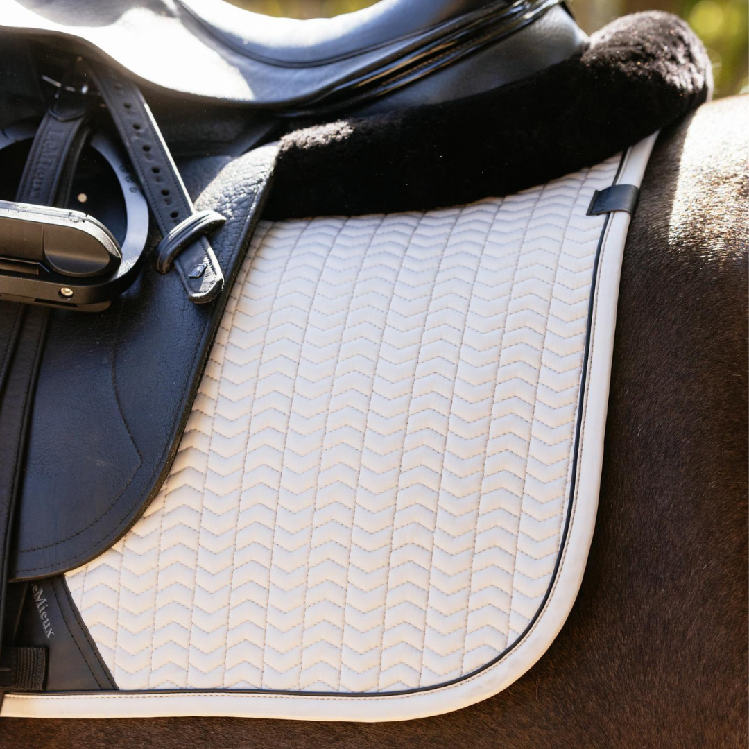Close-up of a saddle and saddle pad on a horse