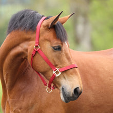 Load image into Gallery viewer, Shires ARMA Adjustable Nylon Halter-Halter-Pegasus-Pony-Black-Evolution Equestrian Co.