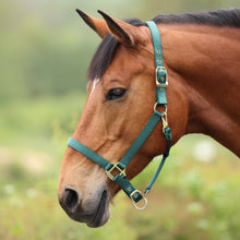 Load image into Gallery viewer, Shires ARMA Adjustable Nylon Halter-Halter-Pegasus-Pony-Black-Evolution Equestrian Co.