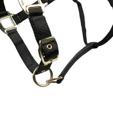 Load image into Gallery viewer, Shires ARMA Adjustable Nylon Halter-Halter-Pegasus-Pony-Black-Evolution Equestrian Co.