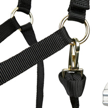 Load image into Gallery viewer, Shires ARMA Adjustable Nylon Halter-Halter-Pegasus-Pony-Black-Evolution Equestrian Co.