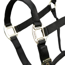 Load image into Gallery viewer, Shires ARMA Adjustable Nylon Halter-Halter-Pegasus-Pony-Black-Evolution Equestrian Co.
