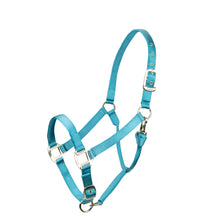 Load image into Gallery viewer, Shires ARMA Adjustable Nylon Halter-Halter-Pegasus-Pony-Teal-Evolution Equestrian Co.