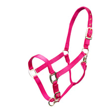 Load image into Gallery viewer, Shires ARMA Adjustable Nylon Halter-Halter-Pegasus-Pony-Raspberry-Evolution Equestrian Co.