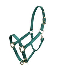 Load image into Gallery viewer, Shires ARMA Adjustable Nylon Halter-Halter-Pegasus-Pony-Hunter Green-Evolution Equestrian Co.