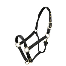 Load image into Gallery viewer, Shires ARMA Adjustable Nylon Halter-Halter-Pegasus-Pony-Black-Evolution Equestrian Co.
