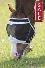 Load image into Gallery viewer, Shires Fine Mesh Earless Fly Mask-Fly Mask-Pegasus-Small Pony-Black-Evolution Equestrian Co.