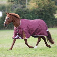 Load image into Gallery viewer, Shires Highlander Turnout Blanket 100g-Horse Blanket-Pegasus-69"-Maroon-Evolution Equestrian Co.