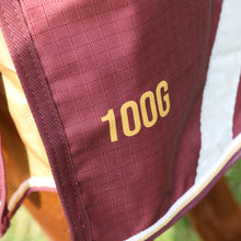 Load image into Gallery viewer, Shires Highlander Turnout Blanket 100g-Horse Blanket-Pegasus-69"-Maroon-Evolution Equestrian Co.