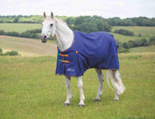 Load image into Gallery viewer, Shires Highlander Turnout Blanket 100g-Horse Blanket-Pegasus-69"-Navy-Evolution Equestrian Co.