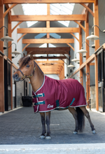 Load image into Gallery viewer, Shires Mini Highlander Winter Blanket 200g-Horse Blanket-Pegasus-33"-Maroon-Evolution Equestrian Co.